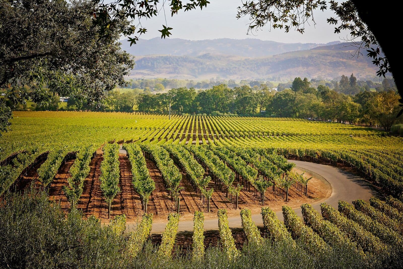 Staglin Wine Dinner